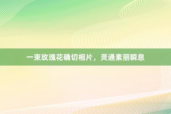 一束玫瑰花确切相片，灵通素丽瞬息
