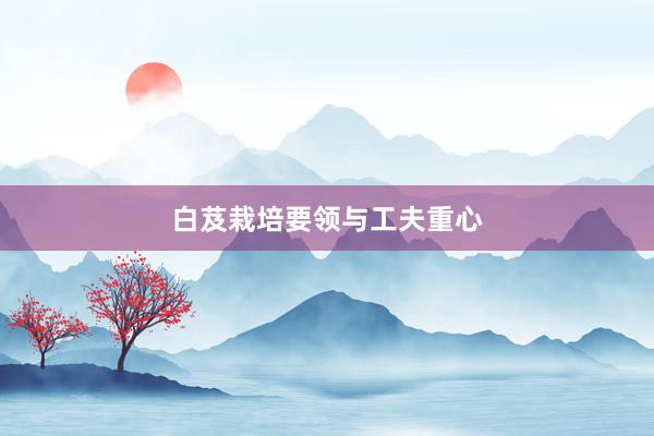 白芨栽培要领与工夫重心