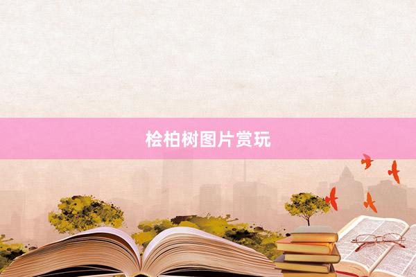 桧柏树图片赏玩