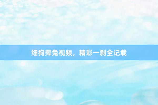 细狗撵兔视频，精彩一刹全记载