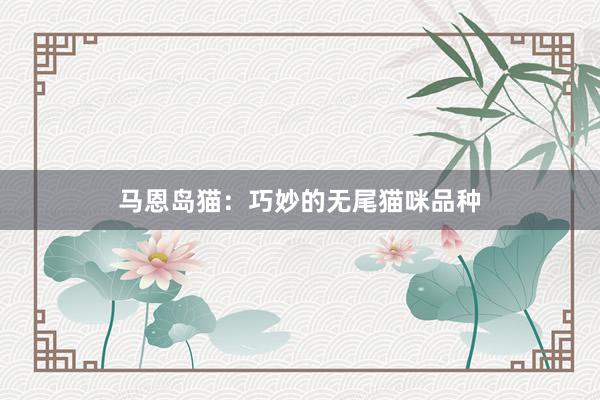 马恩岛猫：巧妙的无尾猫咪品种