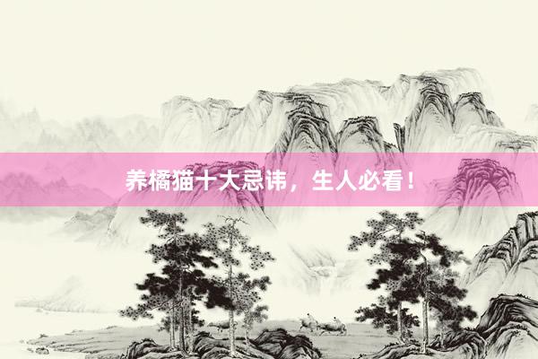 养橘猫十大忌讳，生人必看！